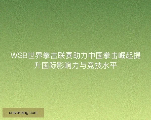 WSB世界拳击联赛助力中国拳击崛起提升国际影响力与竞技水平